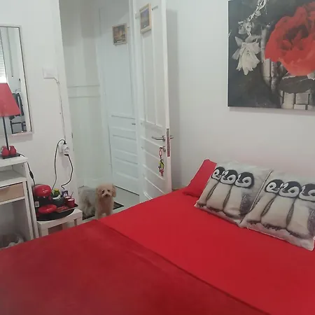 Frida * A Coruña