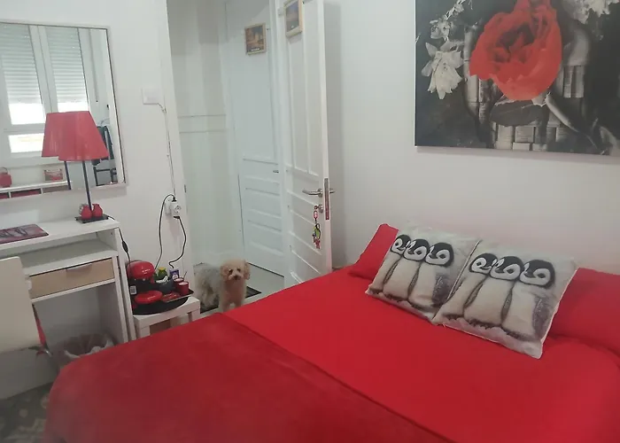 Oasis * 拉科鲁尼亚